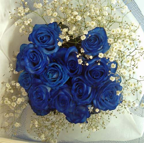 ����ԁ@���ԉԑ�/�u���[���[�Y�u�[�P